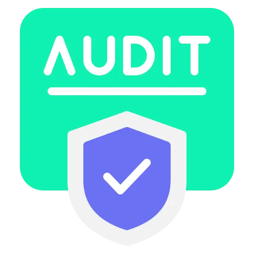 Free Website Audit